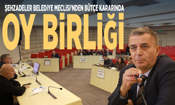 Şehzadeler Belediye Meclisi'nden bütçe kararında oy birliği