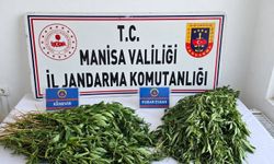 Manisa’da uyuşturucu operasyonları: 3 tutuklama