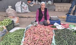Alaşehir'de Cumhuriyet coşkusu sosyal medyaya taşındı