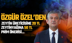 Özgür Özel Zeytin Üreticilerinin Sorunlarını Gündeme Taşıdı