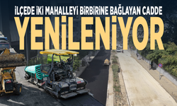İlçede iki mahalleyi birbirine bağlayan cadde yenileniyor