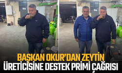 Saruhanlı Ziraat Odası Başkanı Aydoğan Okur’dan Zeytin Üreticisine Destek Primi Çağrısı