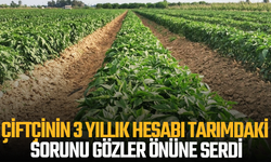 Emin Özarı Çiftçinin Tablosunu Açıkladı: Maliyet Katlandı, Gelir Değişmedi