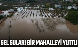 Sel suları bir mahalleyi yuttu