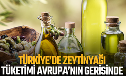 Türkiye’de Zeytinyağı Tüketimi Avrupa’nın Gerisinde