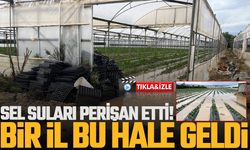 Sel çiftçiyi perişan etti: Ürünler sular altında kaldı!