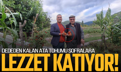 Manisa'da bir asırlık lezzet: Dededen kalan domates tohumu korunuyor