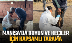 Manisa’da koyun ve keçiler için kapsamlı tarama