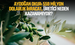 Aydoğan Okur: 559 milyon dolarlık ihracat, üretici neden kazanamıyor?
