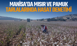 Manisa’da mısır ve pamuk tarlalarında hasat denetimi