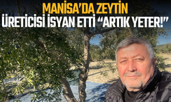 Manisa’da zeytin üreticisi isyan etti: “Artık yeter!”