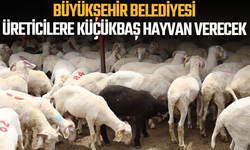 Manisa Büyükşehir Üreticilere 21 Küçükbaş Hayvan Verecek