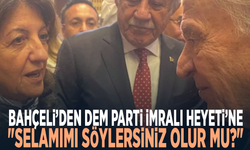 Devlet Bahçeli’den DEM Parti İmralı Heyeti’ne: "Selamımı söylersiniz olur mu?"