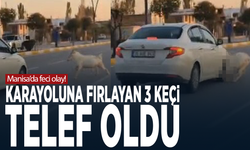 Manisa’da feci olay! Karayoluna fırlayan 3 keçi telef oldu