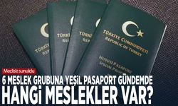 Meclis’e sunuldu... 6 meslek grubuna yeşil pasaport gündemde... Hangi meslekler var?