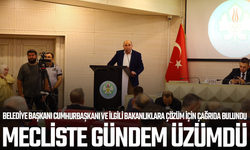 Büyükşehir meclisinde üzüm sorunu gündeme taşındı