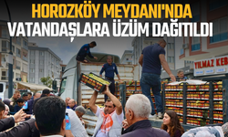 Yunusemre'de Horozköy Meydanı'nda vatandaşlara üzüm dağıtıldı