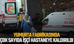 Yumurta Fabrikasında Çok Sayıda İşçi Hastaneye Kaldırıldı