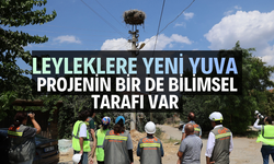 Leyleklere Yeni Yuva...