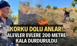 Korku dolu anlar! Alevler evlere 200 metre kala durduruldu