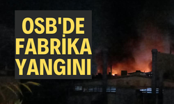 OSB'DE FABRİKA YANIYOR