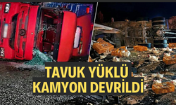 Tavuk yüklü kamyon şarampole devrildi