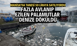 Fazla avlanıp ezilen palamutlar denize döküldü