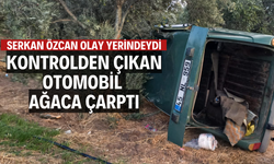 Kontrolden çıkan otomobil ağaca çarptı
