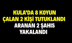 Kula’da 8 Koyun Çalan 2 Kişi Tutuklandı, Aranan 2 Şahıs Yakalandı