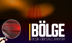 3 Kentte Alarm Veren Hareketlilik! 119 Deprem Kaydedildi