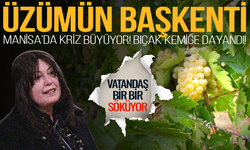 Manisalı üretici dayanamadı: Bağlar bir bir sökülüyor