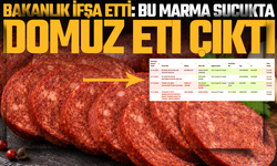Bu marka sucukta domuz eti tespit edildi
