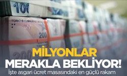 Asgari ücrette dikkat çeken rakam!