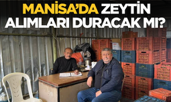 Aydoğan Okur’dan Zeytin Üreticileri İçin Acil Müdahale Çağrısı