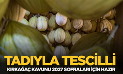 Tadıyla tescilli Kırkağaç kavunu 2027 sofraları için hazır