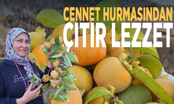 Cennet hurmasından çıtır lezzet