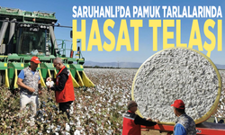 Saruhanlı’da pamuk tarlalarında hasat telaşı