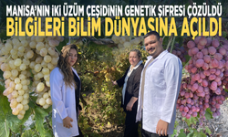 Manisa’nın iki üzüm çeşidinin genetik şifresi çözüldü... Bilgileri bilim dünyasına açıldı