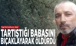 Ege'de korkunç olay! Tartıştığı babasını bıçaklayarak öldürdü