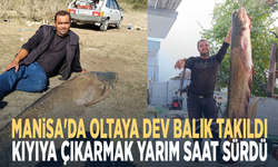 Manisa'da oltaya dev balık takıldı... Kıyıya çıkarmak yarım saat sürdü