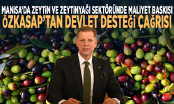 Manisa’da zeytin ve zeytinyağı sektöründe maliyet baskısı: Özkasap’tan devlet desteği çağrısı