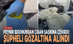 Peynir bidonundan çıkan şaşkına çevirdi! Şüpheli gözaltına alındı