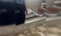 Fırında mide bulandıran görüntüler
