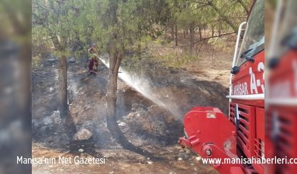 Orman Genel Müdürlüğü: Manisa Gölmarmara'daki yangın kontrol altına alındı