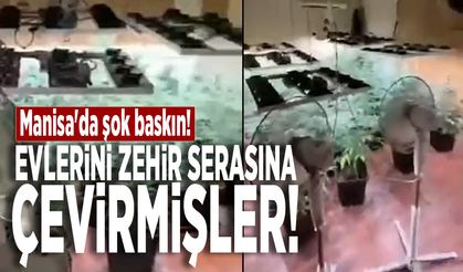 Manisa'da şok baskın! Evlerini zehir serasına çevirmişler