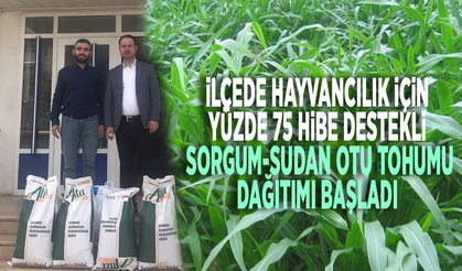 İlçede hayvancılık için yüzde 75 hibe destekli sorgum-sudan otu tohumu dağıtımı başladı