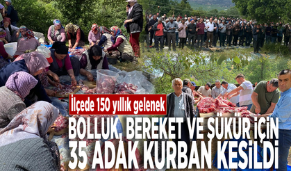 İlçede 150 yıllık gelenek... Bolluk, bereket ve şükür için 35 adak kurban kesildi