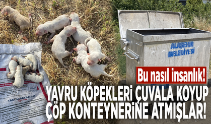 Bu nasıl insanlık! Yavru köpekleri çuvala koyup çöp konteynerine atmışlar