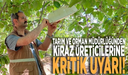 Tarım ve Orman Müdürlüğünden kiraz üreticilerine kritik uyarı!