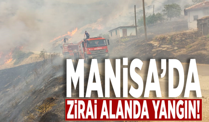 Manisa’da zirai alanda yangın!